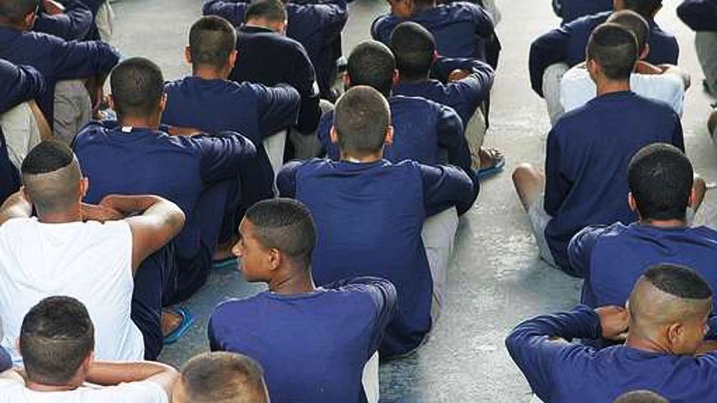O papel da defesa na justiça juvenil infracional: da teoria à prática.